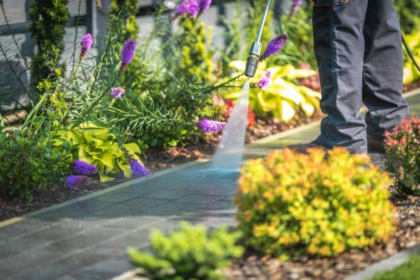 Best Restaurant Pressure Washing  in Mount Vernon, AL