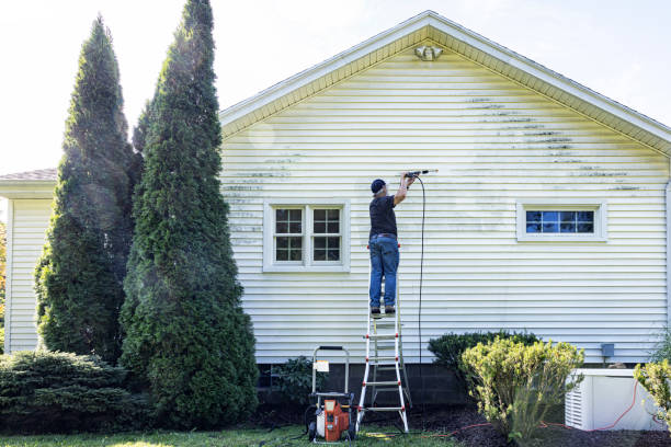 Best Dumpster Area Cleaning  in Mount Vernon, AL