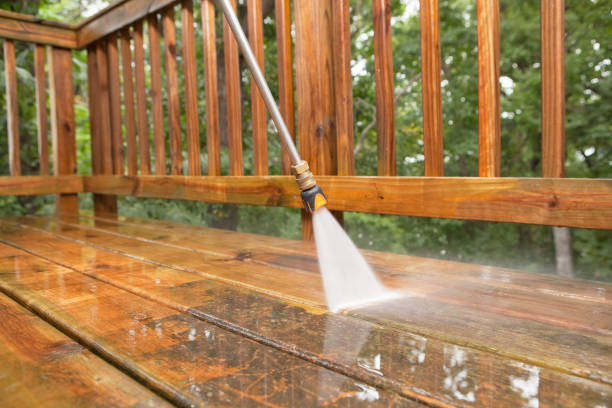 Best Driveway Pressure Washing  in Mount Vernon, AL